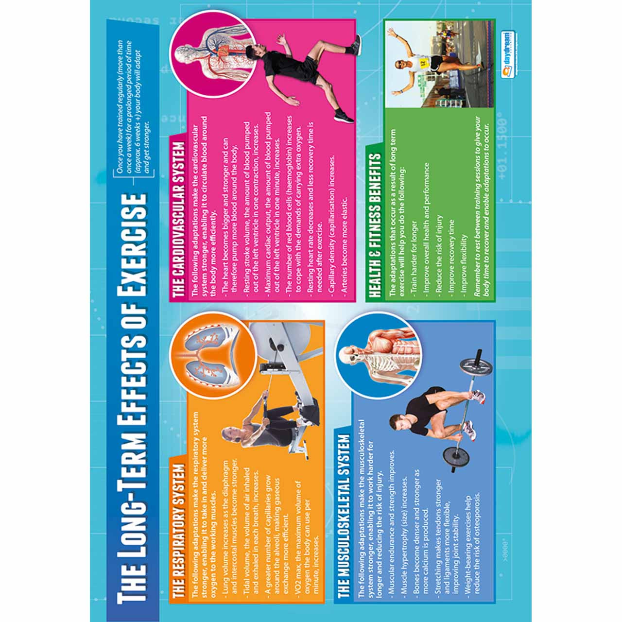 School Charts - The Long Term Effects of Exercise Laminated